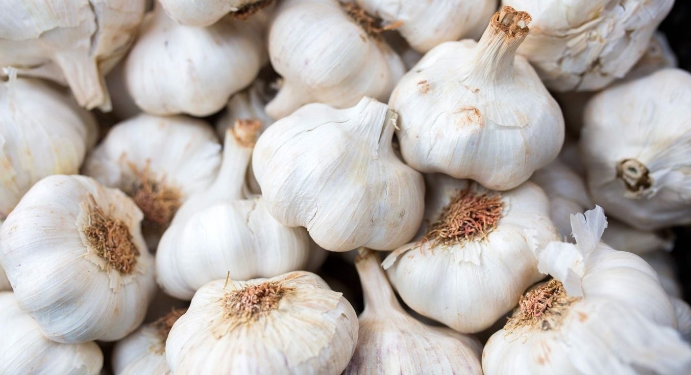 Dehydrated Garlic