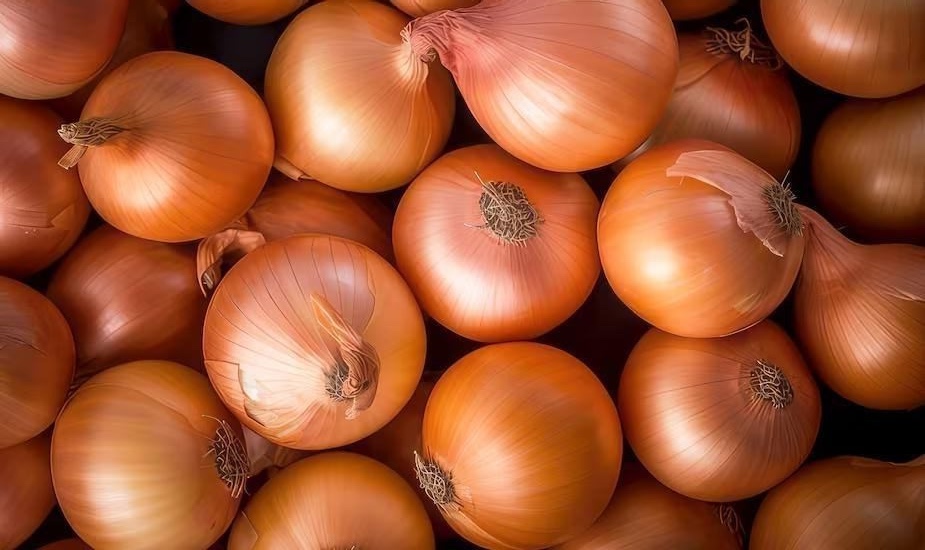 Dehydrated Onion