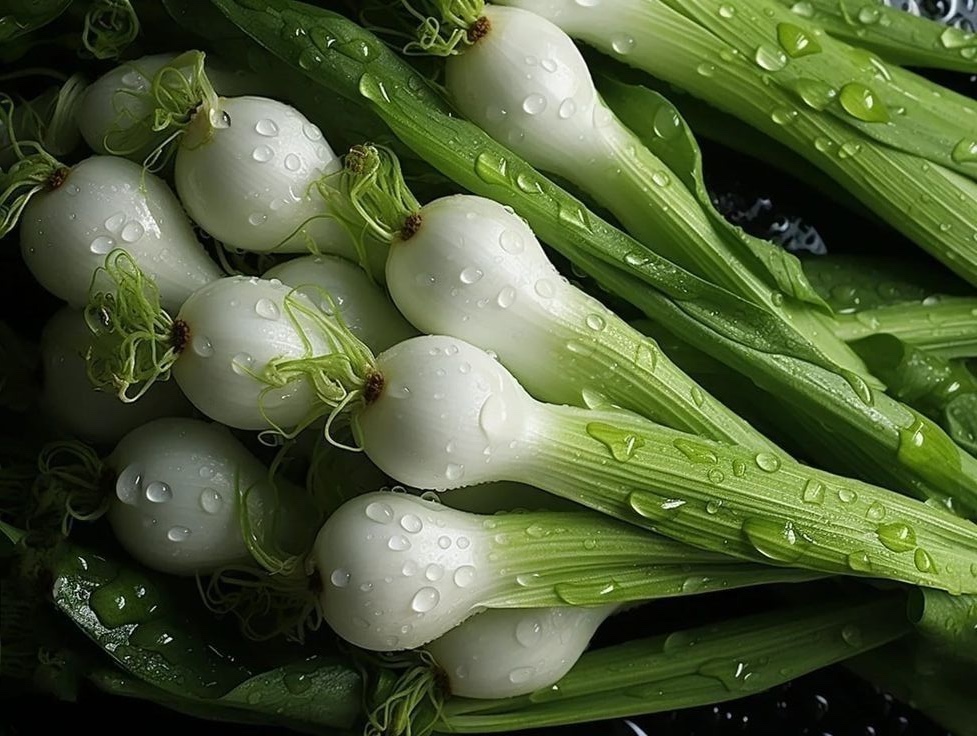 Dehydrated Leek