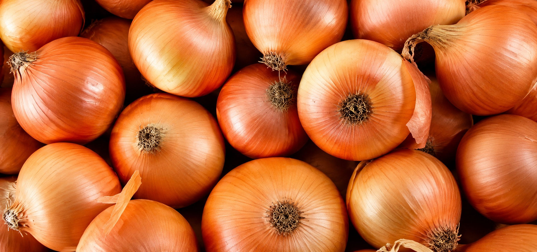 Dehydrated Onion